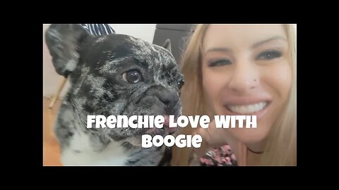 Boogie The Frenchie! Frenchie Loves!