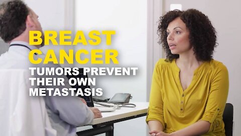 Breast cancer tumors can prevent their own spread