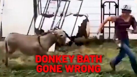 DONKEY BATH GONE WRONG 🤣😂