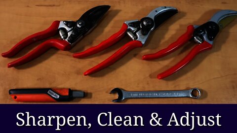 Sharpen Pruners (Bypass Pruners & Loppers)