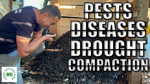 Using Compost Extract to Fix our Bad Soil