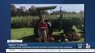 Mary's Maze in Ellicott City says "We're Open Baltimore!"