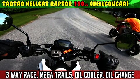 (E14) RACE! Hellcat VS Grom VS DB36. Hella Trails. Oil cooler installed. HELLCOUGAR Zongshen 190cc