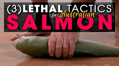 Beach Fishing - Australian Salmon ( 3 ) LETHAL TACTICS