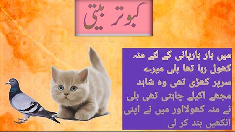 کبوتر بیتی ۔ pigeon beeti moral story ۔۔ hindi story urdu story