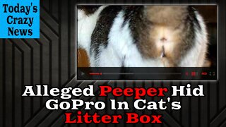 Alleged Peeper Hid GoPro In Cat's Litter Box