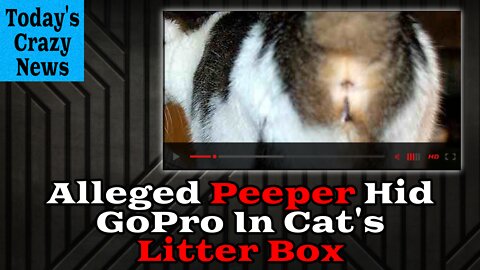 Alleged Peeper Hid GoPro In Cat's Litter Box