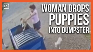 Demonic! 2 People Arrested After Woman Seen Throwing Puppies into Dumpster