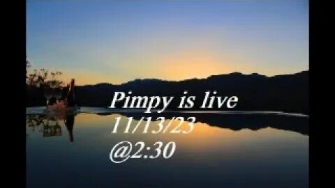 Pimpy is live 11/13/23