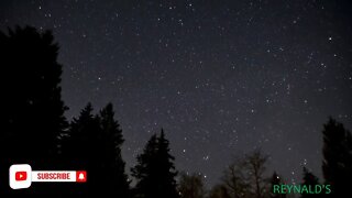 FALL ASLEEP IN LESS THAN 3 MINS with this sound and starry night view.