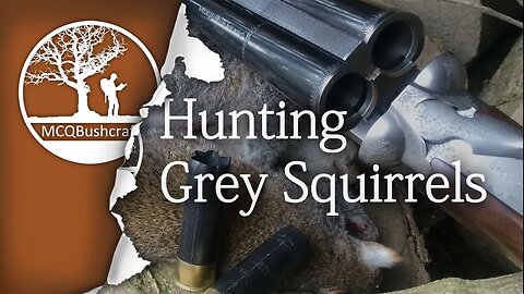 Bushcraft Hunting Grey Squirrels with a Shotgun