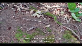 UCS Episode 28 - Ontario Sasquatch Expedition, Part 2