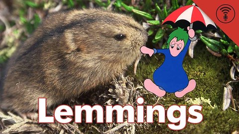 Stuff You Should Know: Don't Be Dumb: Lemmings