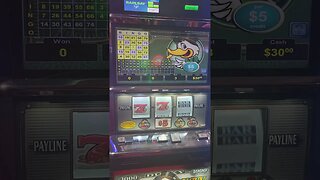 Multiple Bets on Lucky Ducks Slot Machine
