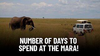 How Many Days Do You Need on Safari in Masai Mara?