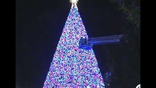 Delray Beach Tree Lighting