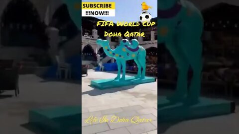 FIFA World Cup Doha Qatar l FIFA Fever l Life In Doha Qatar l Explore Qatar l