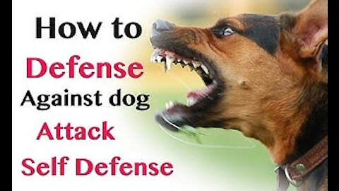 Self-Defense Against Dog Attacks - How To Defend Against Dog Attacks