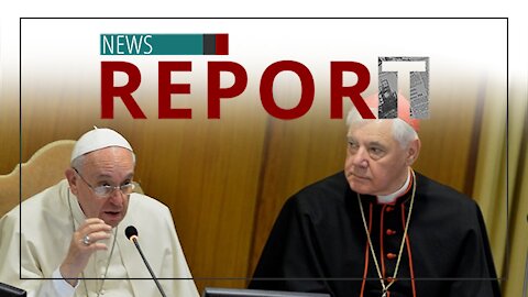 Catholic — News Report — Faithful Cardinal Implores Pope