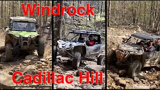Windrock Trail 39 Part 2 Cadillac Hill. YXZ/Turbo S/Highlifter/Talon R.