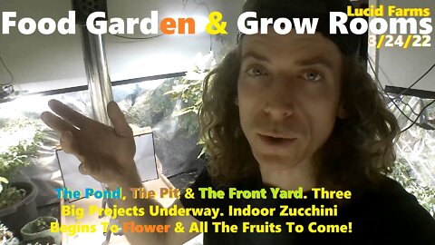 Three Big Projects Underway. Zucchini Flowers & Fruits To Come! 3/24/22 Food Garden & Grow Rooms.