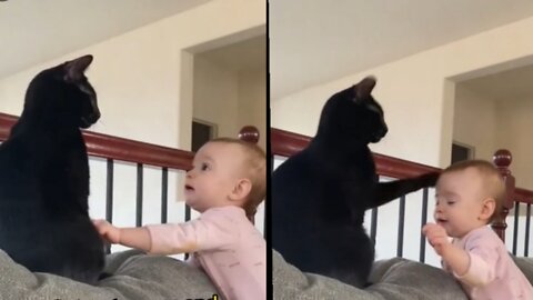 Cat got angry and baby got scared