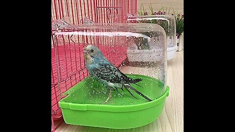 A parrot 🦜🦜bathes alone. Very cool😄😄