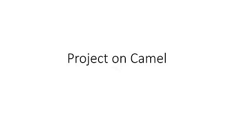 Project on Camel