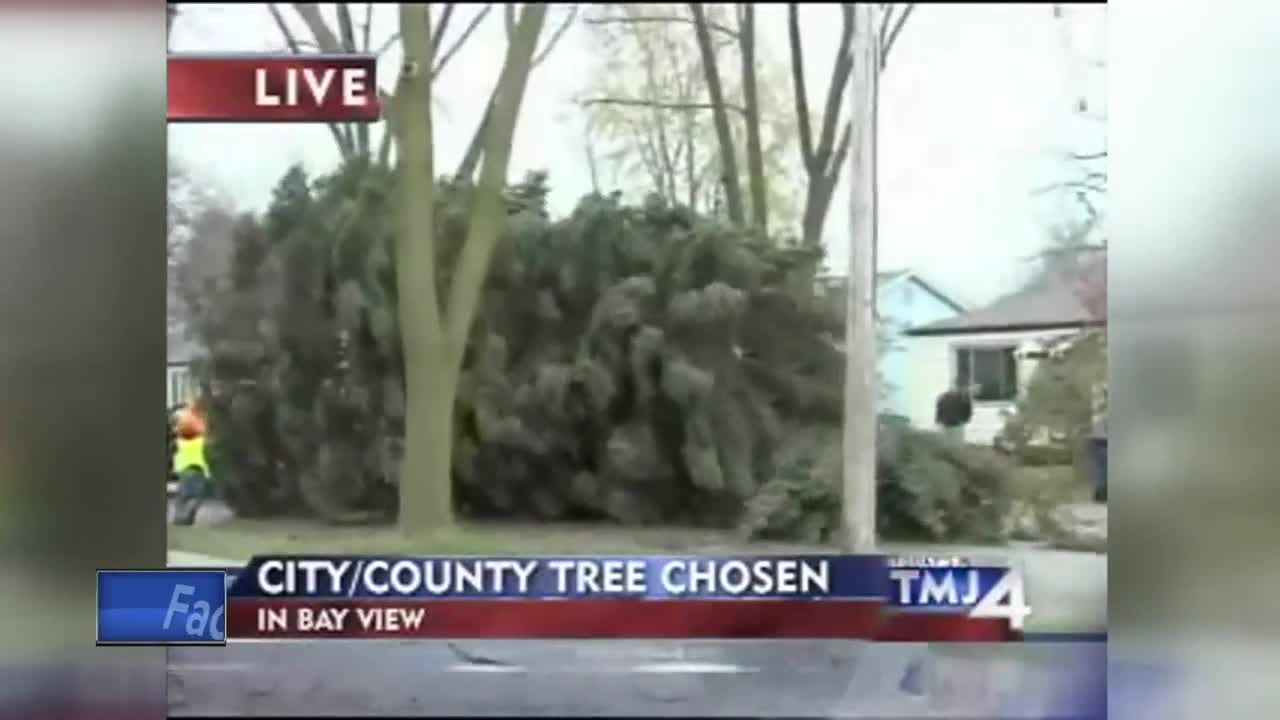 Throwback Thursday: Remember the time the city's Christmas tree broke?