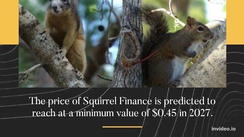 Squirrel Finance Price Prediction 2022, 2025, 2030 NUT Price Prediction