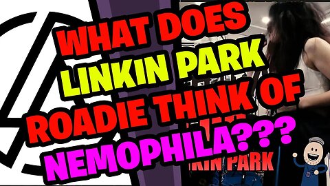 What does LINKIN PARK Roadie think of NEMOPHILA???