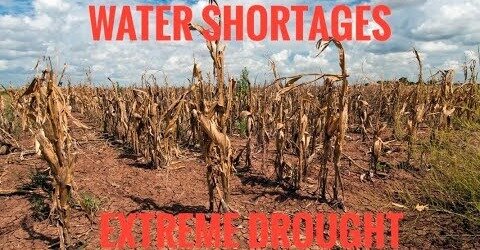 Water Shortage: A Global Crisis