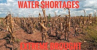 Water Shortage: A Global Crisis