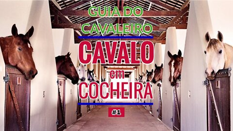 Cavalo em cocheira ou solto à pasto?