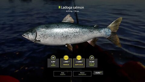 Russian Fishing 4 Ladoga Archipelago Ladogo Salmon 4 . 275 Kg