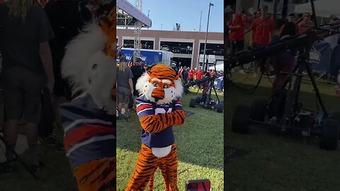 Good Luck to Aubie at UCA Nationals! | #auburn #aubie #wareagle