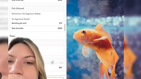 Woman Is Outraged After Landlord Charged Her $200 Pet Fee For Her Fish