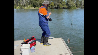 weekday fishing in the georges river