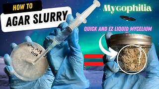 🍄 WTF is Agar Slurry?: Easiest and Quickest Method to Go from Agar to Syringe (Liquid Mycelium) 🧫💉👽