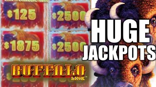 BUFFALO LINK IS ON FIRE! $125/BET & 2 MASSIVE JACKPOTS! BONUSES BACK 2 BACK! HIGH LIMIT SLOT MACHINE