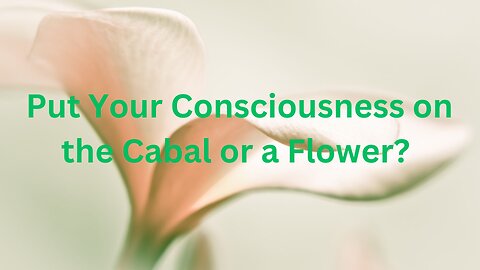 Put Your Consciousness on the Cabal or a Flower? ∞The 9th Dimensional Arcturian Council