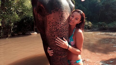 Best Elephant Sanctuary in Chiang Mai, Thailand