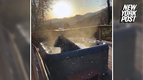 Bear in hot tub is 'having a blast' in Gatlinburg