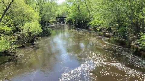 Little River at Reed Bingham State Park with sound