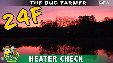 Beautiful Sunrise Beehive Heater Check