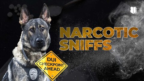 Ep #518 Narcotics dogs on DUI checkpoints