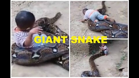 see what happens, child playing with giant snake