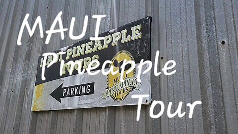 Maui Pineapple Tour