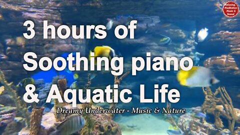 Soothing music with piano and underwater sound for 3 hours, music for focus & concentration
