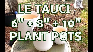 LE TAUCI 6, 8,10 Inch Ceramic Planters, great classic look!